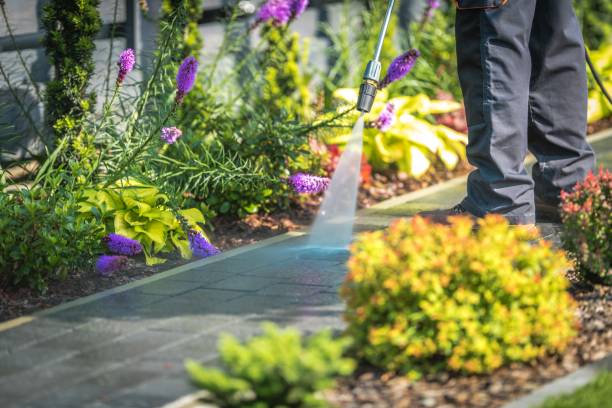 Pre-Holiday Cleaning in Gurnee, IL